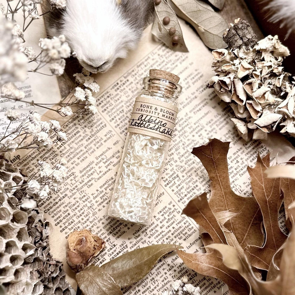 Real Albino Rattlesnake Skin in Glass Vial
