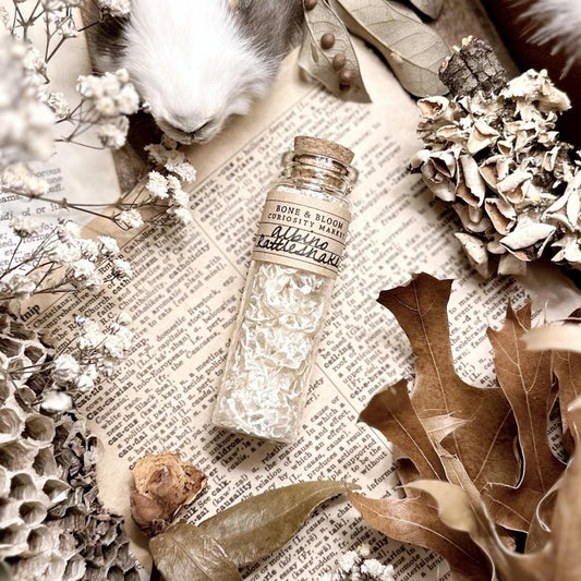 Real Albino Rattlesnake Skin in Glass Vial