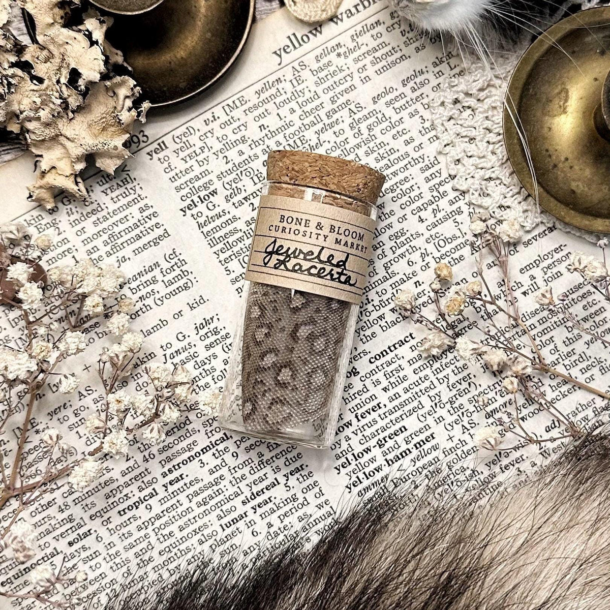 Real Jeweled Lacerta Skin in Glass Vial