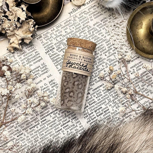 Real Jeweled Lacerta Skin in Glass Vial