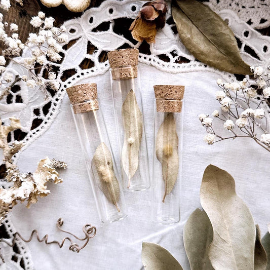 Petite Fuzzy Oak Gall on Dried Leaf in Glass Vial – No. 01