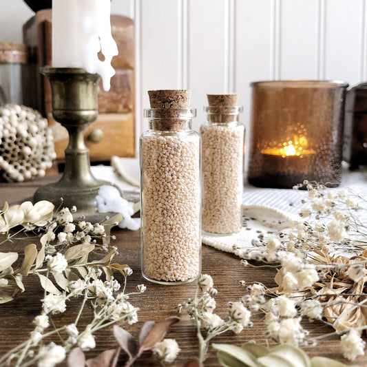 Real Natural Okinawa Star Sand in Glass Vial