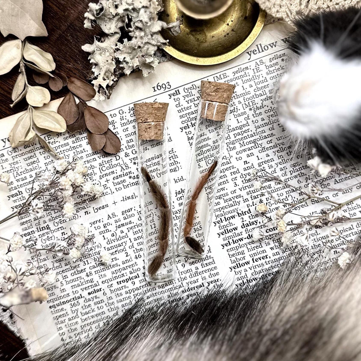 Petite Mystery Tarantula Leg in Glass Vial