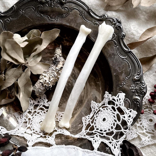 One Real Coyote Radius Bone – No. 01