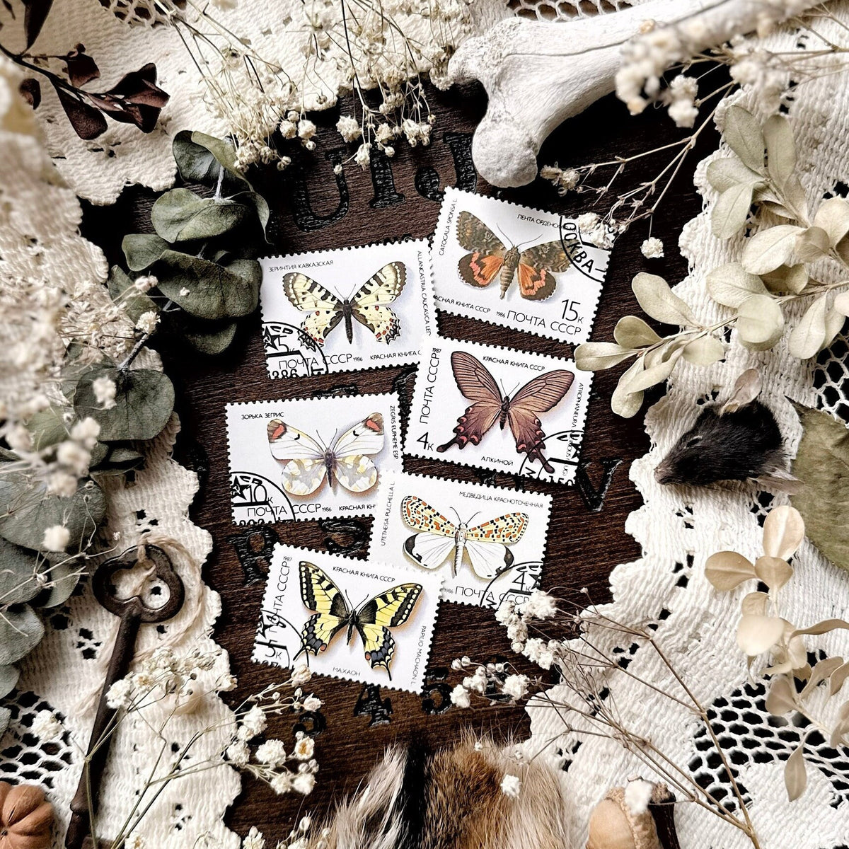 Vintage Butterfly Stamps – No. 02, 1986