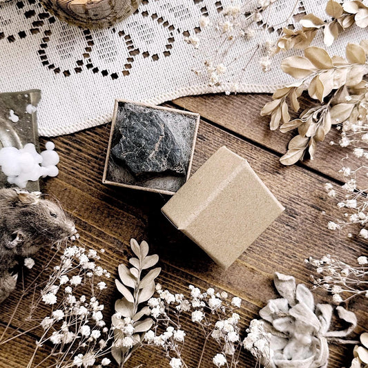 Lump of Coal in Petite Kraft Box – No. 05