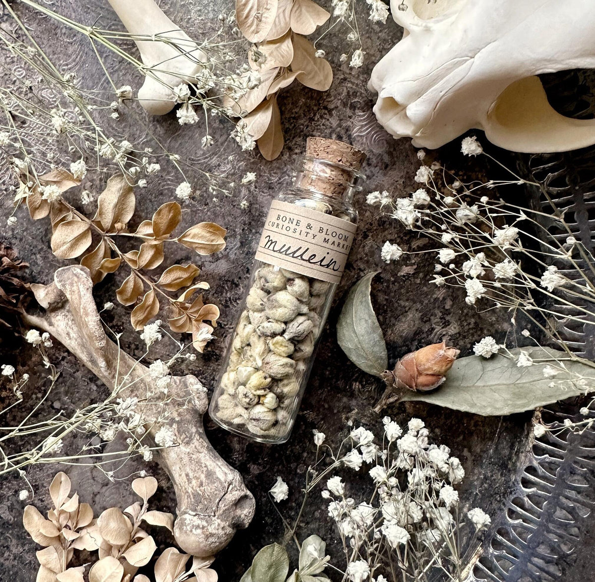 Dried Mullein Blossoms in Glass Vial