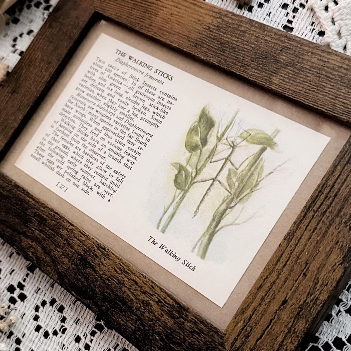1937 The Walking Sticks – 4x6 Framed Vintage 1930's Book Page