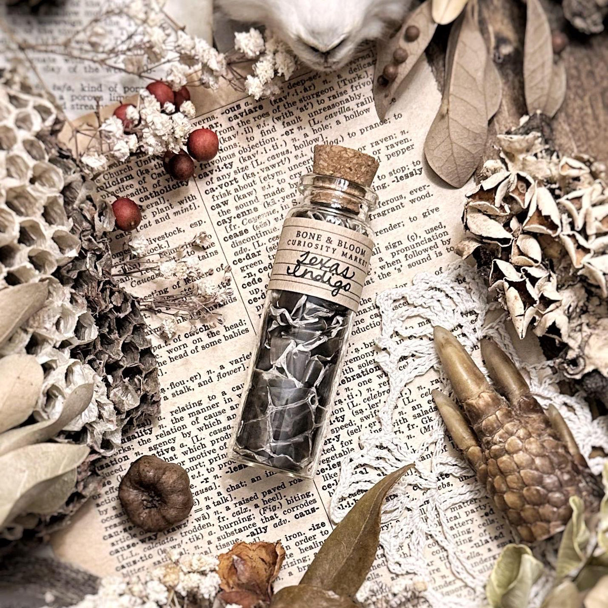 Real Texas Indigo Snake Skin in Glass Vial