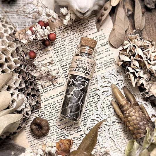 Real Texas Indigo Snake Skin in Glass Vial