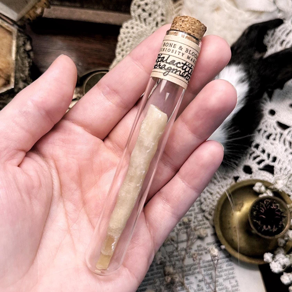 Petite Stalactite Fragment in Glass Vial – No. 01
