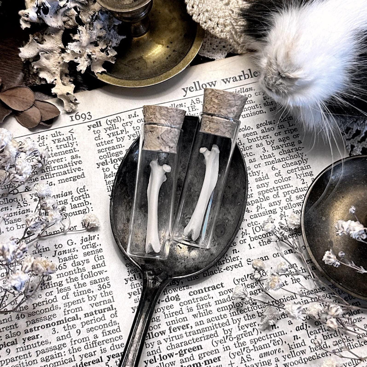 One Real Petite Rat Femur Bone in Glass Vial – No. 02