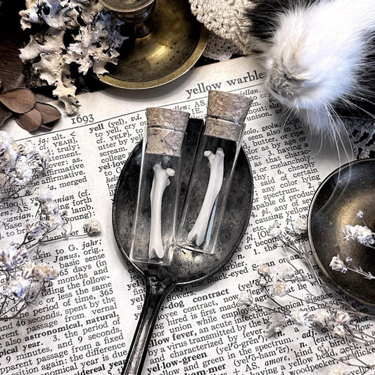 One Real Petite Rat Femur Bone in Glass Vial – No. 02