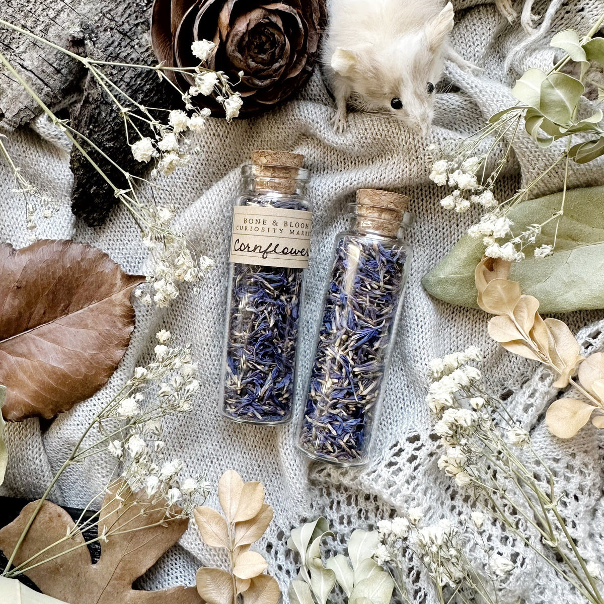 Dried Cornflower Petals in Glass Vial