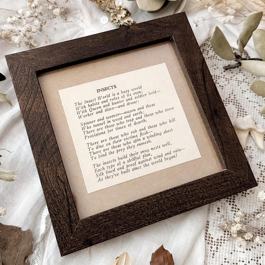 1937 Insect Poem – 4x4 Framed Vintage 1930's Insect Book Print