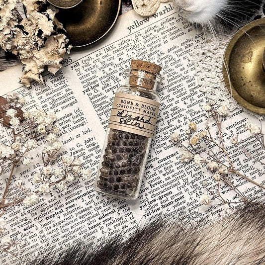 Real Lizard Skin in Glass Vial