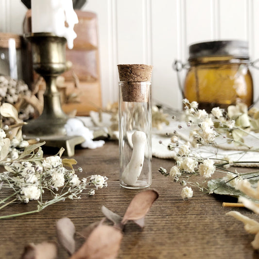 Tiny Vintage Porcelain Doll Arm in Glass Vial – No. 15
