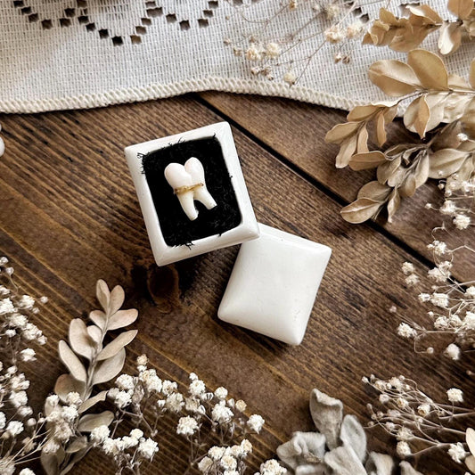 Real Human Tooth in Tiny Vintage Porcelain Trinket Box – No. 02