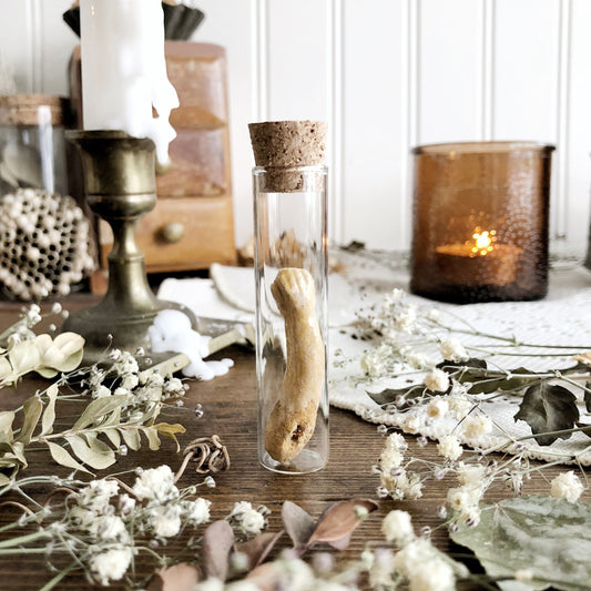 Vintage Wooden Doll Arm in Glass Vial – No. 79