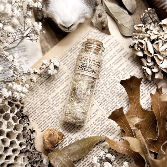 Real Ball Python Snake Skin in Glass Vial