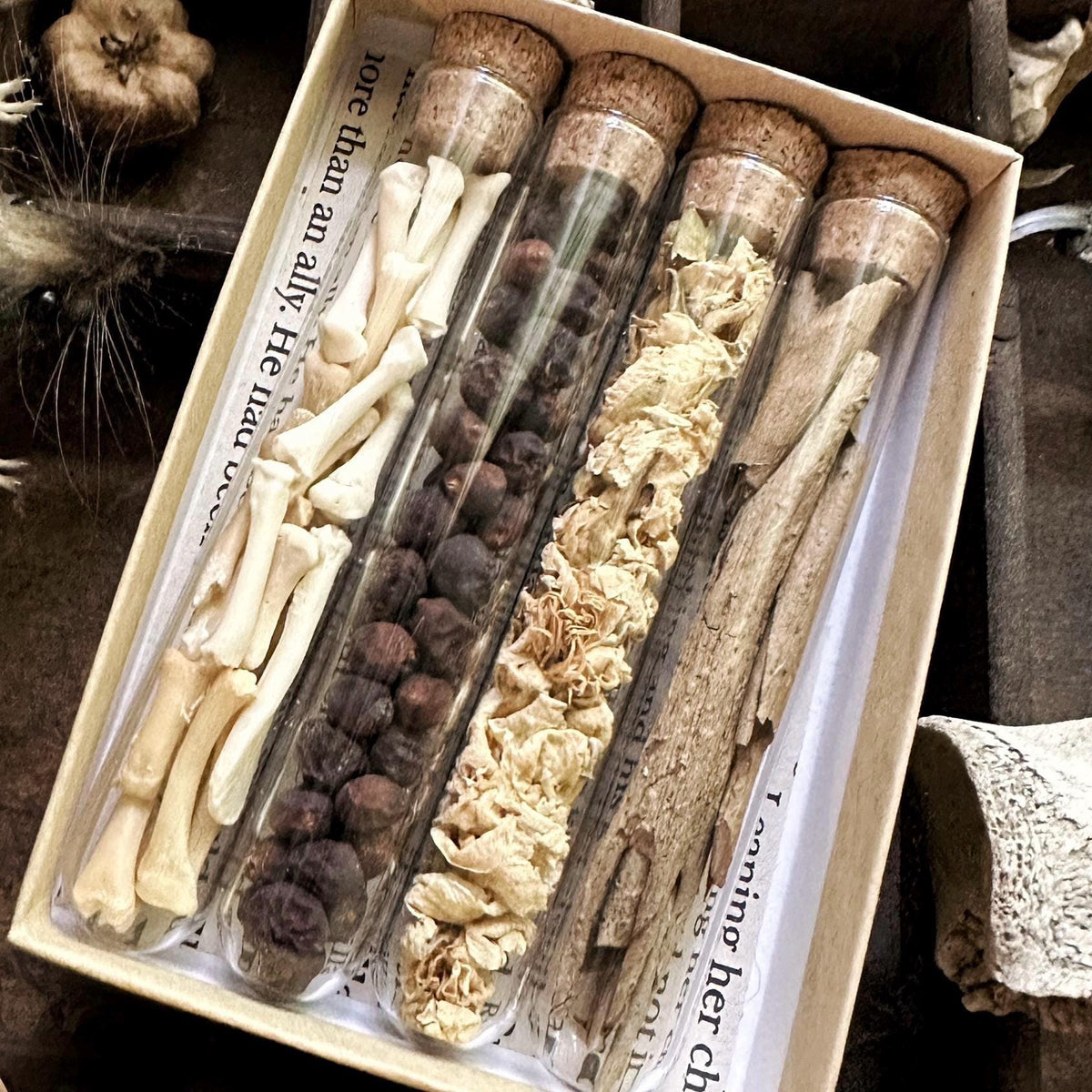 Petite Natural History Collection – No. 07