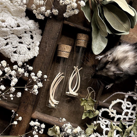 Real Squirrel Rib Bones in Glass Vial – No. 12