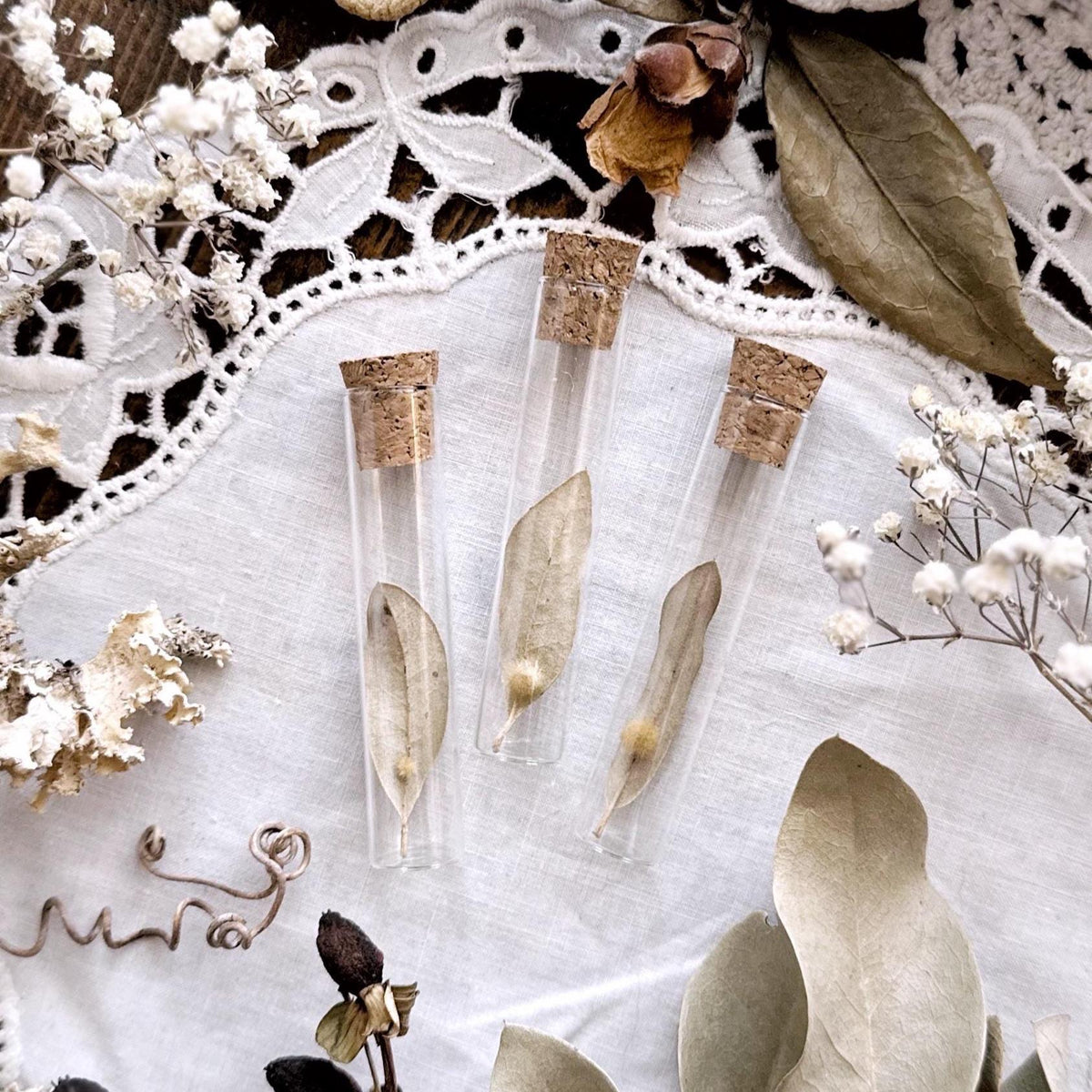 Petite Fuzzy Oak Gall on Dried Leaf in Glass Vial – No. 02