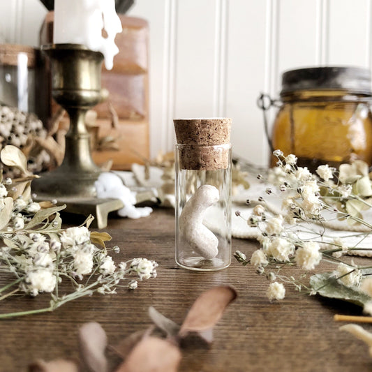 Tiny Vintage Porcelain Doll Arm in Glass Vial – No. 11