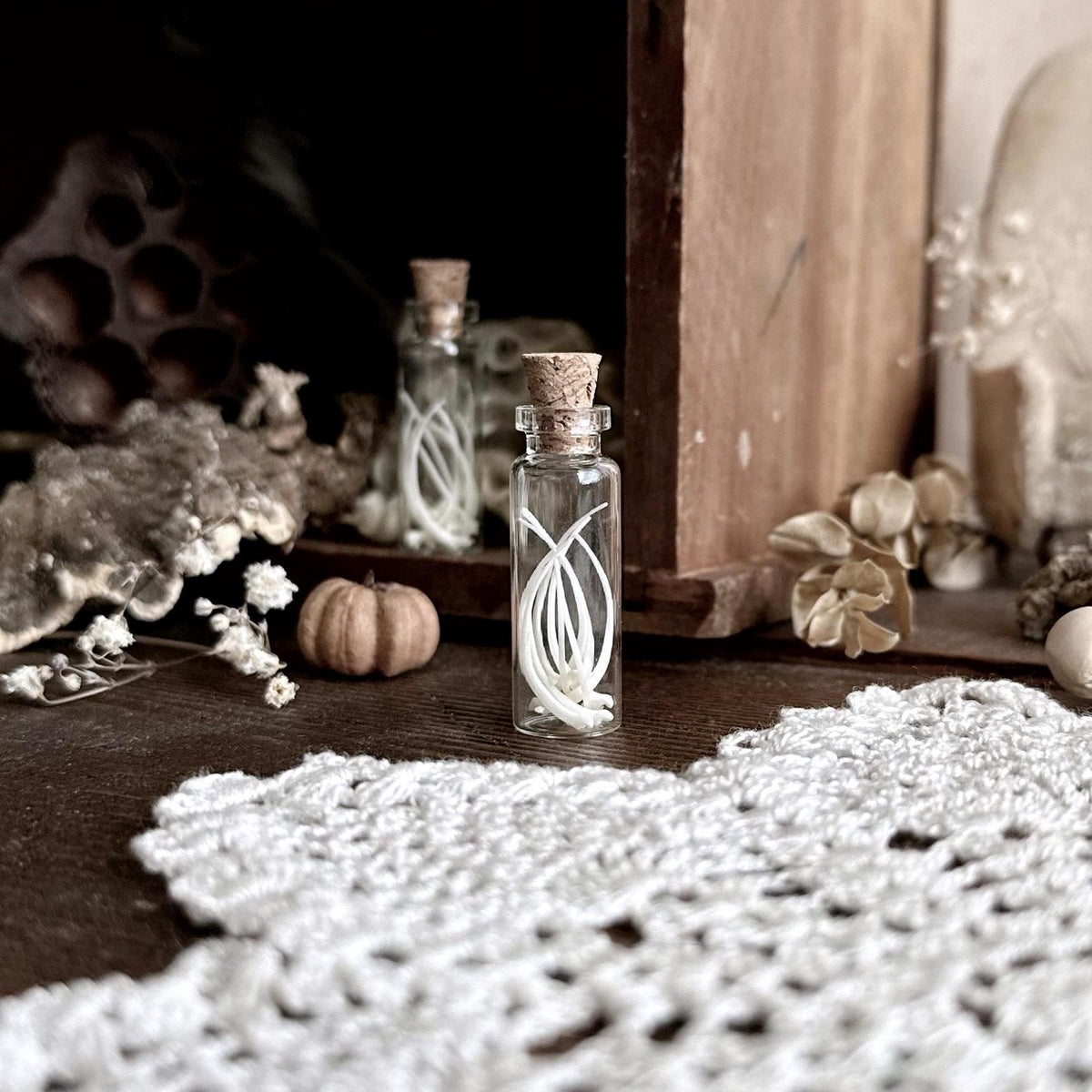 Real Petite Snake Bones in Tiny Glass Vial – No. 02