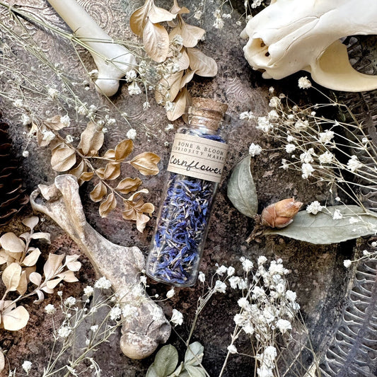 Dried Cornflower Petals in Glass Vial