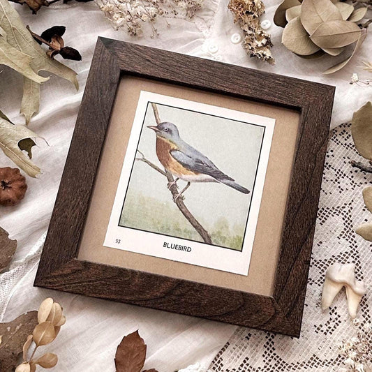 1931 The Bluebird – 4x4 Framed Vintage 1930's Bird Print