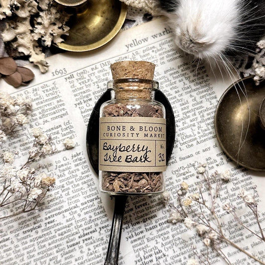 Dried Bayberry Tree Bark in Glass Vial – No. 32