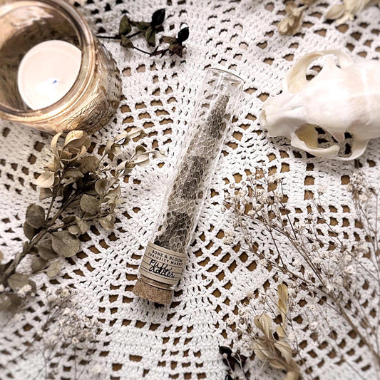 Real Puff Adder Snake Tail Shed in Glass Vial