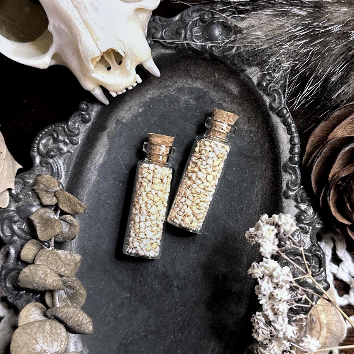 Real Okinawa Star Sand in Tiny Glass Vial