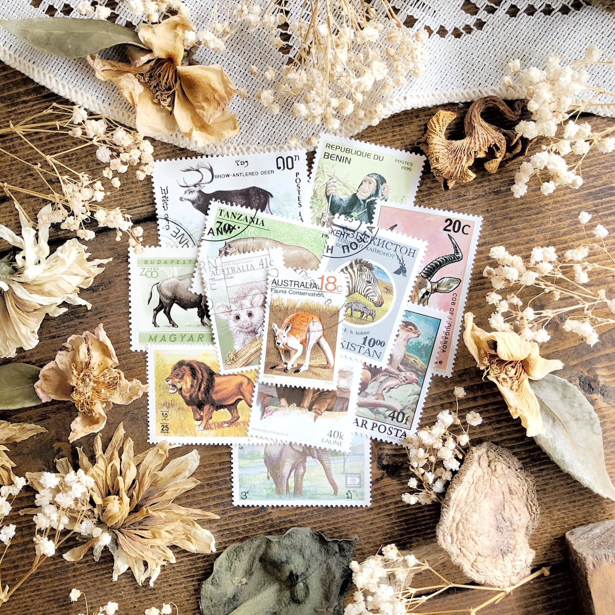 Mystery Collection Vintage Animal Stamps – No. 01