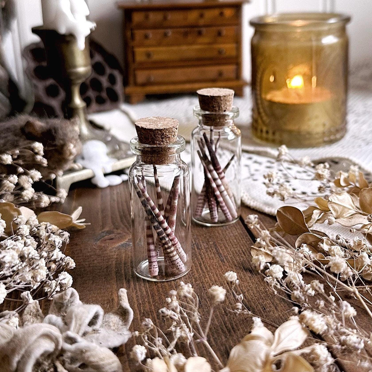 Real Petite Tiger Sea Urchin Spines in Glass Vial – No. 04