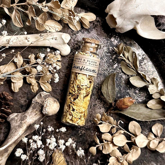 Dried Sunflower Petals in Glass Vial