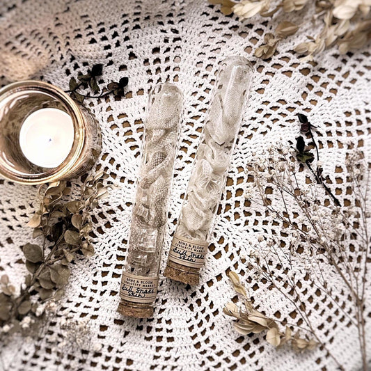 Real Full Snake Skin in Glass Dome – No. 03