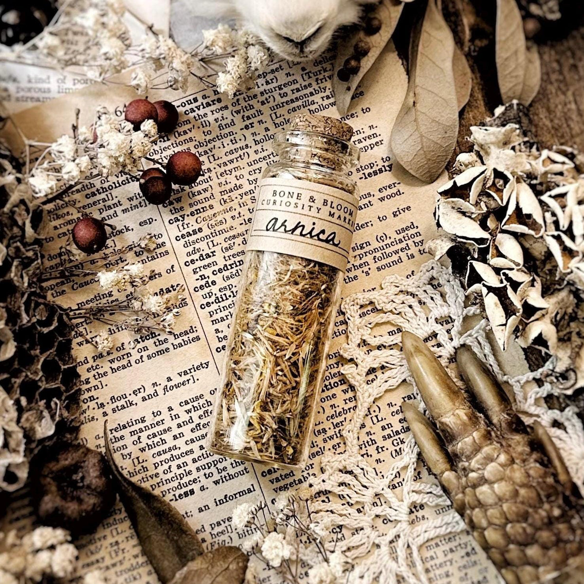 Dried Arnica Flower Petals in Glass Vial