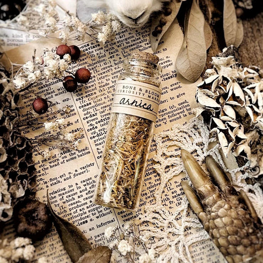Dried Arnica Flower Petals in Glass Vial