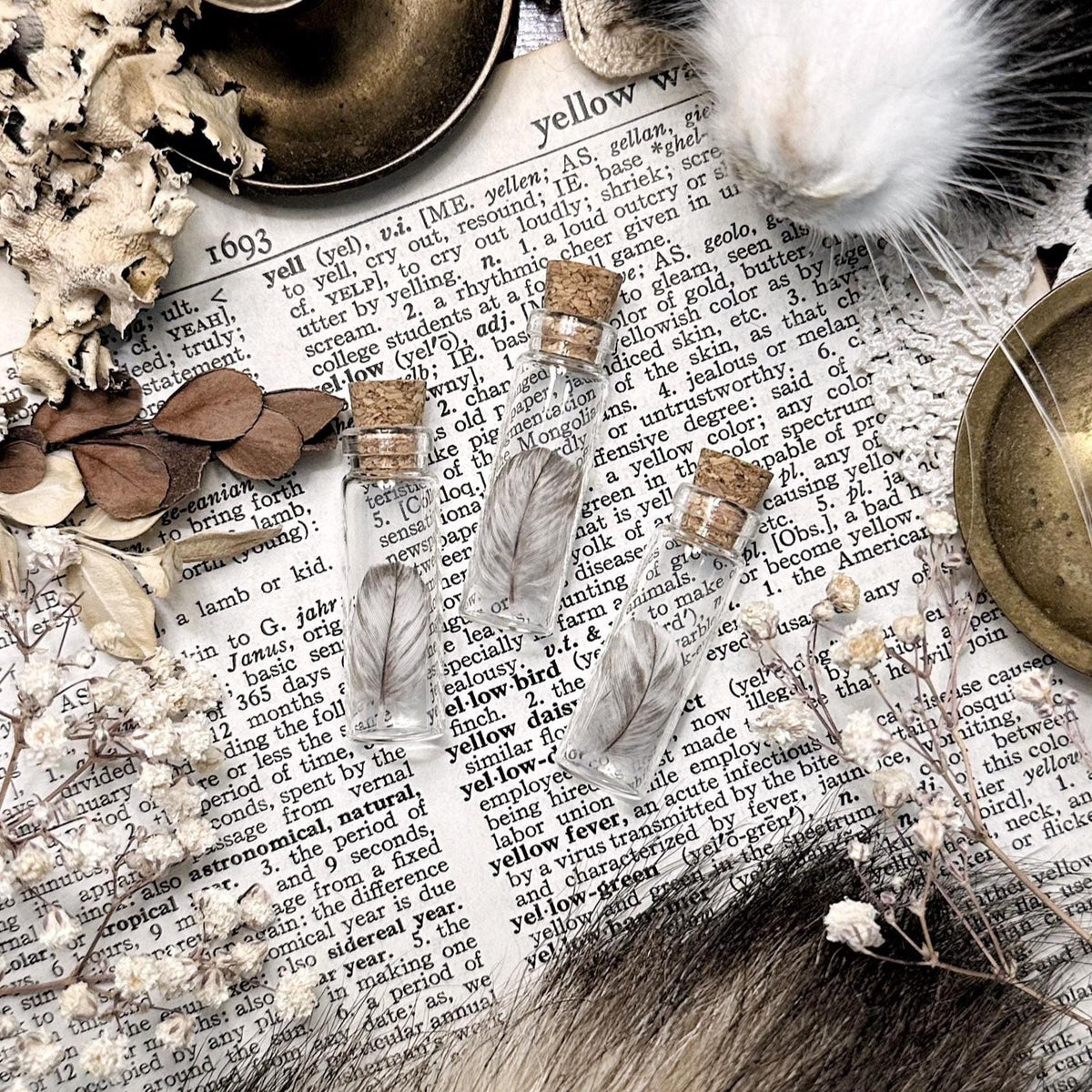 One Real Tiny Gray Turkey Feather in Glass Vial – No. 02