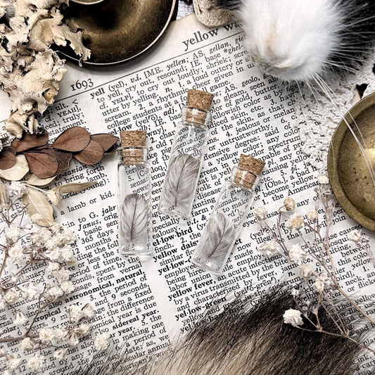 One Real Tiny Gray Turkey Feather in Glass Vial – No. 02