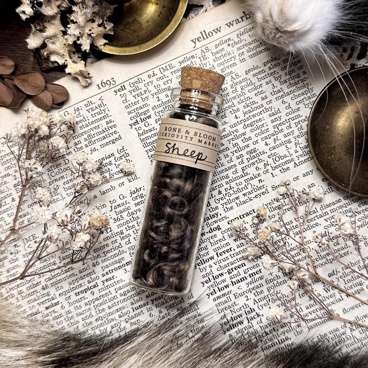 Natural Brown Sheep Wool Curls in Glass Vial