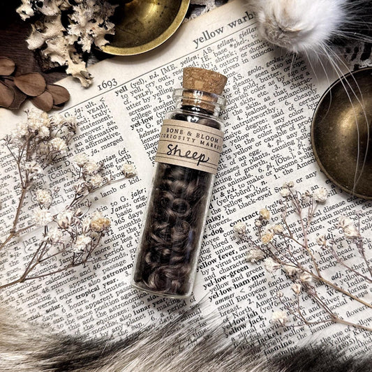Natural Brown Sheep Wool Curls in Glass Vial