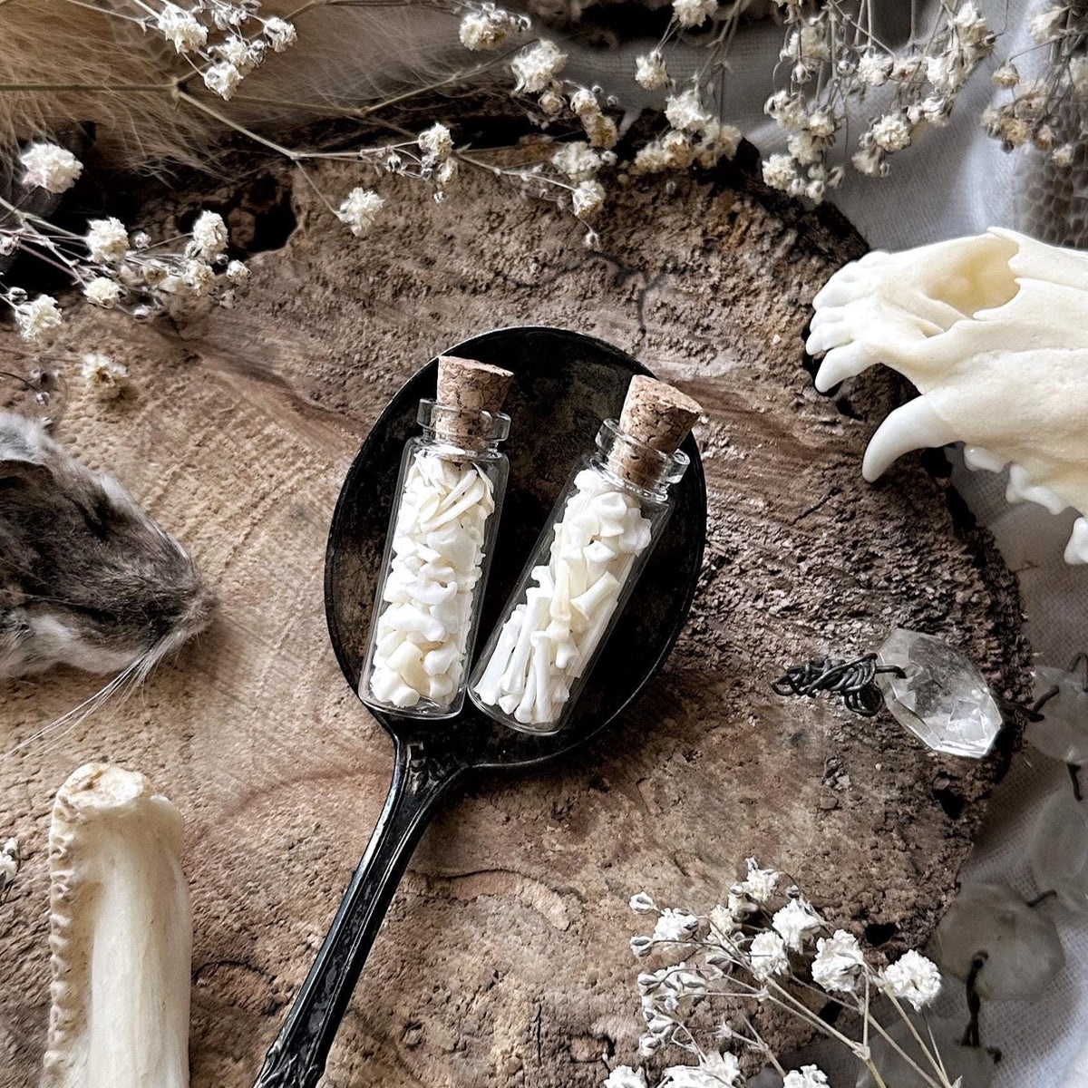Real Tiny Squirrel Bones in Glass Vial – No. 01
