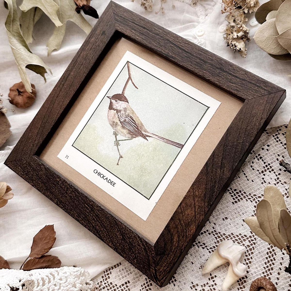 1931 The Chickadee – 4x4 Framed Vintage 1930's Bird Print