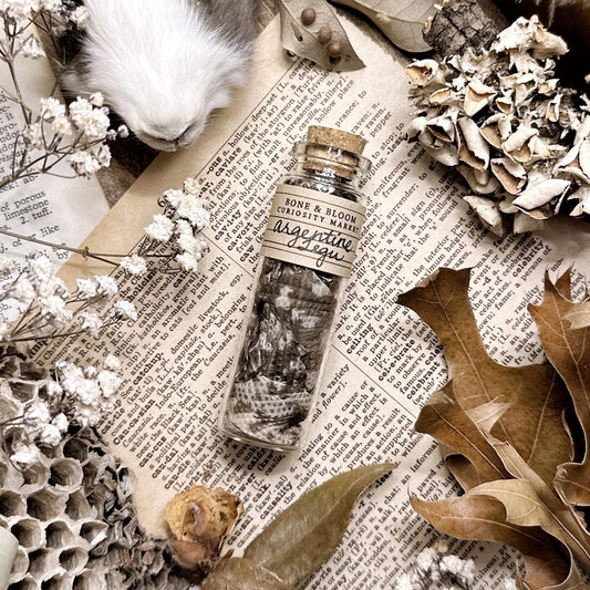 Real Argentine Tegu Skin in Glass Vial