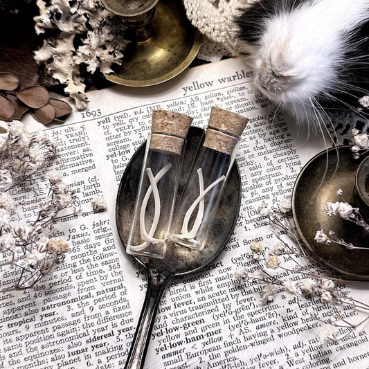 Real Petite Rat Rib Bones in Glass Vial – No. 01