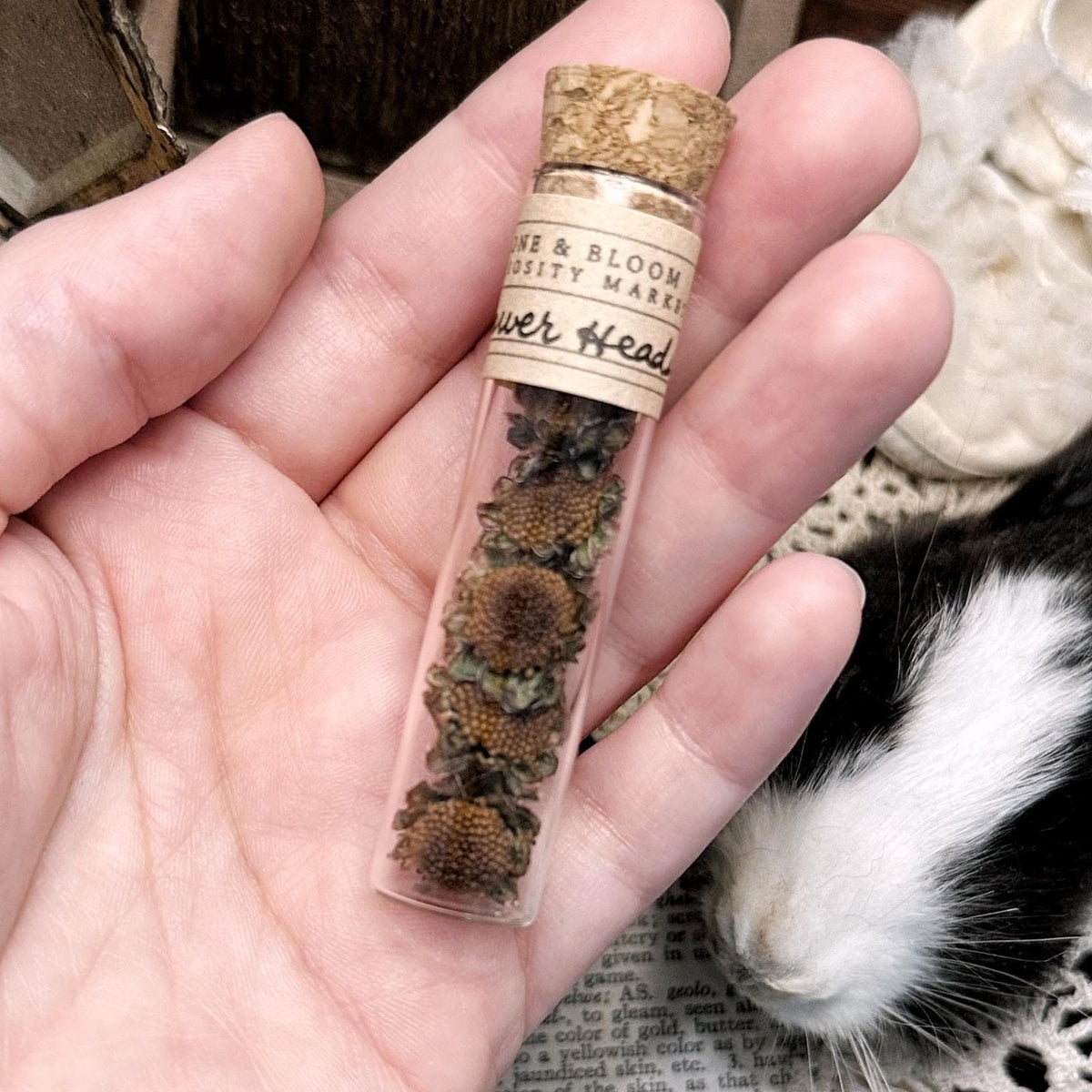 Petite Dried Flower Heads in Glass Vial