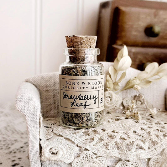 Dried Strawberry Leaf in Glass Vial – No. 31